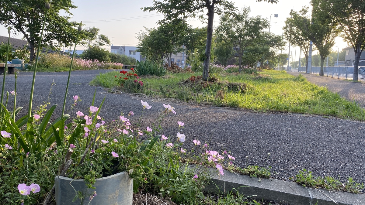 年6月5日 金 のお仕事です 会話の花が咲くということ 許可職人 アサガオ行政書士事務所